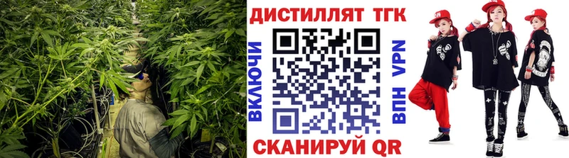 ТГК концентрат дарнет шоп Железногорск
