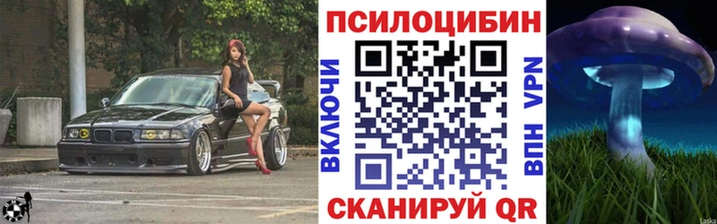 Псилоцибиновые грибы Cubensis Железногорск